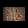 Load image into Gallery viewer, MICHAEL KVIUM - CIRKUS EUROPA
