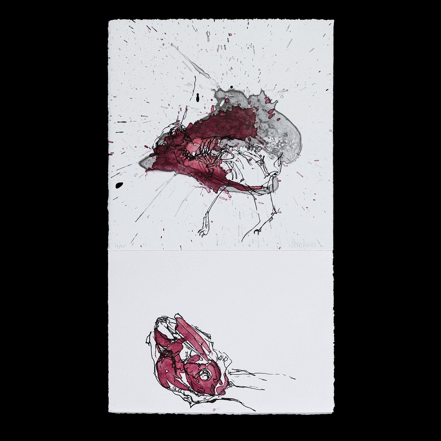 Hare nr. 6