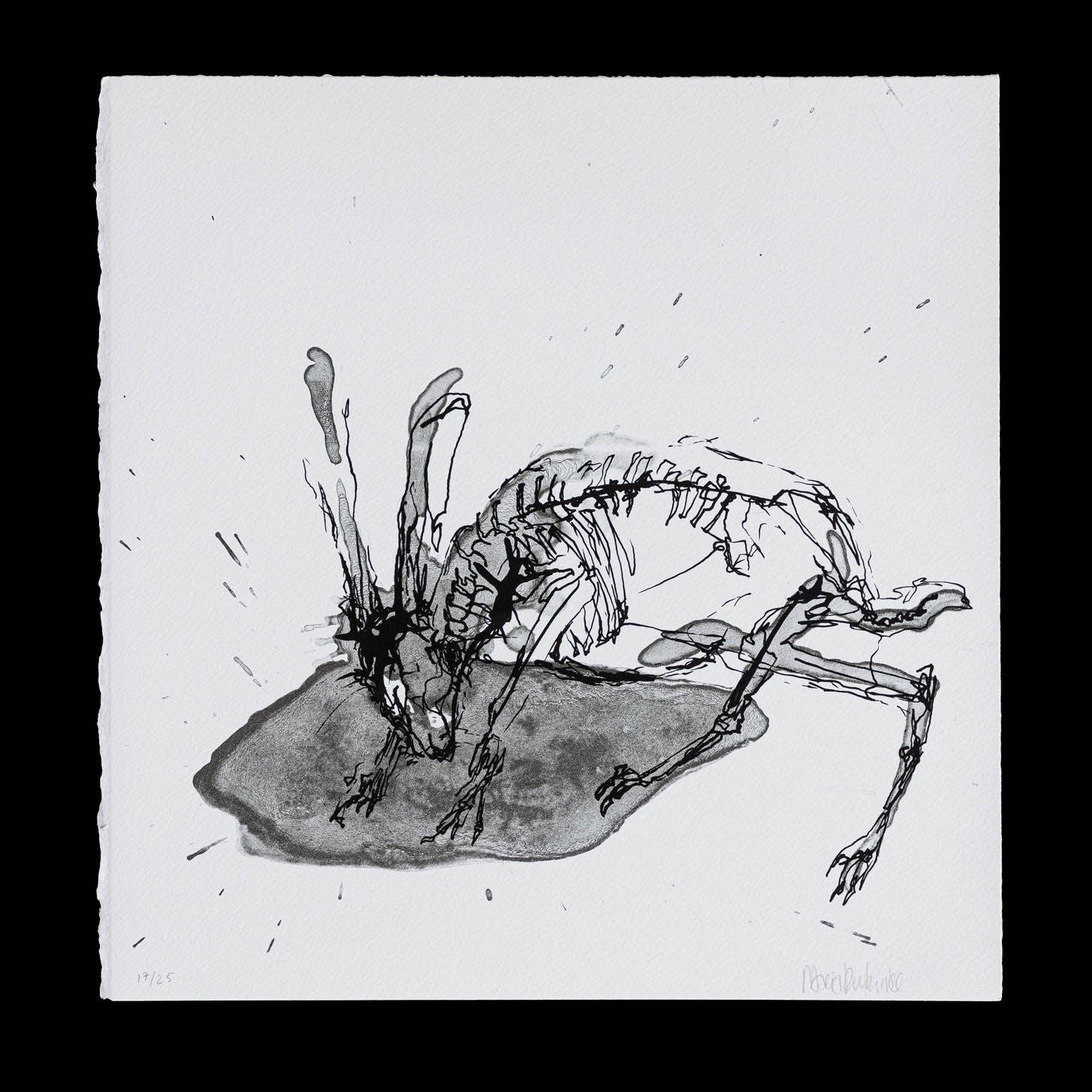 Hare nr. 3