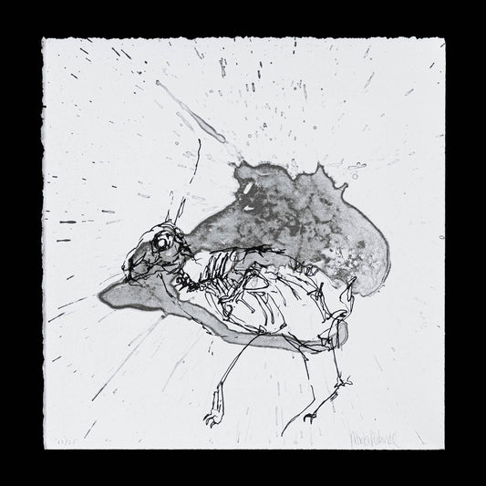 Hare nr. 4