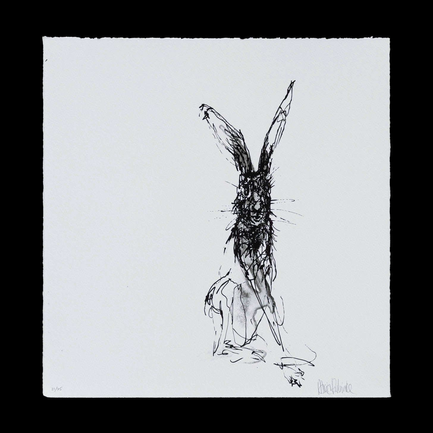 Hare nr. 5